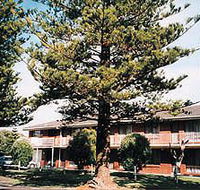 Eastern Beach Holiday Units - Accommodation Ballina