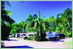 Tropical Hibiscus Caravan Park - Accommodation Ballina 0