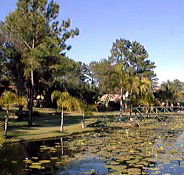 Twin Lakes Hotel - Accommodation Ballina