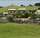 Ace Hi Riding Ranch - Accommodation Ballina
