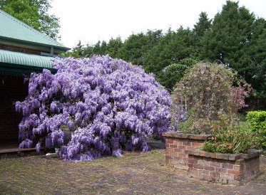 Heronswood House - Accommodation Ballina 2