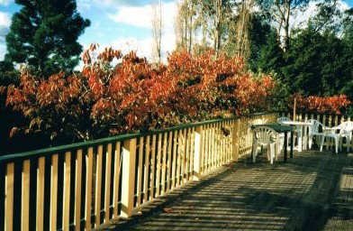 Heronswood House - Accommodation Ballina 5