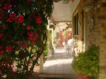 Angels Beach Lodge - Accommodation Ballina 2