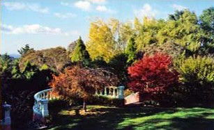 Cabins And Cottages Balmoral Ridge QLD Accommodation Ballina