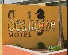 Seahorse Motel - Accommodation Ballina 1