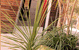 Adelphi Apartments - thumb 1