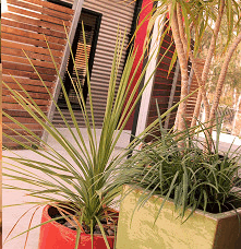 Adelphi Apartments - Accommodation Ballina 1