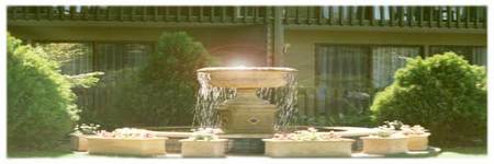 Best Western Tall Trees Motel - Accommodation Ballina 2