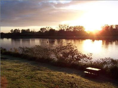 Colonial Court Motor Inn - Accommodation Ballina 2