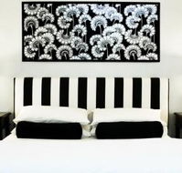 Patrick Plains Estate - Accommodation Ballina