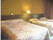 Bega Village Motor Inn - Accommodation Ballina 3