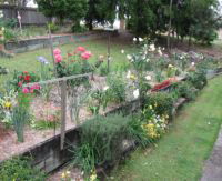 Guanaba QLD Accommodation Ballina