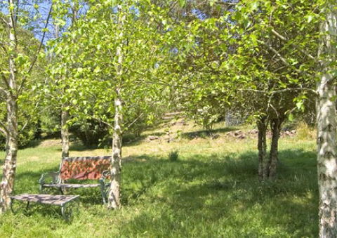 Tomah Mountain Lodge - Accommodation Ballina 2