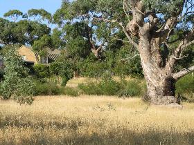 Springton SA Accommodation Ballina