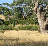 Wings Barossa Bird and Bush Retreat - Accommodation Ballina