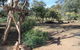 Mount Remarkable Cottage - thumb 1