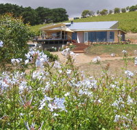 The Blue Grape Vineyard Accommodation - Accommodation Ballina