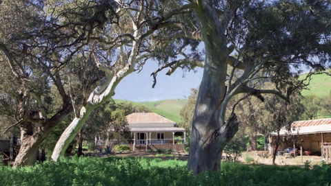 Brooklyn Farm Bed And Breakfast - Accommodation Ballina 0