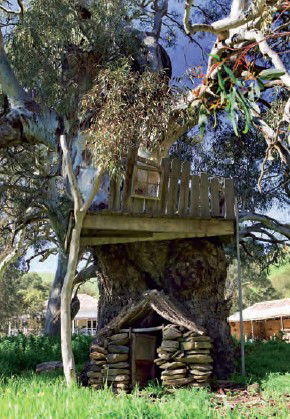 Brooklyn Farm Bed And Breakfast - Accommodation Ballina 8