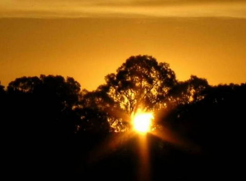 Linfield Cottage - Accommodation Ballina 1