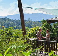 Rose Gums Wilderness Retreat - Accommodation Ballina