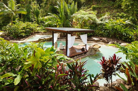 Misty Mountains Tropical Rainforest Romantic Retreat - Accommodation Ballina 3