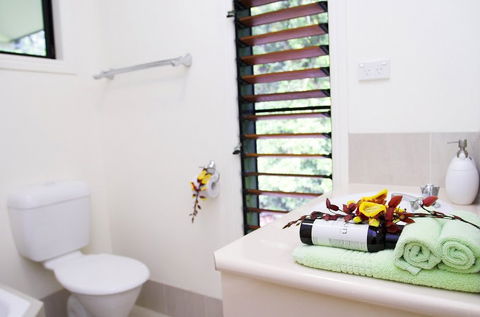 Misty Mountains Tropical Rainforest Romantic Retreat - Accommodation Ballina 5