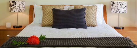 Misty Mountains Tropical Rainforest Romantic Retreat - Accommodation Ballina 7