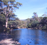 Douglas River Cabin - Accommodation Ballina