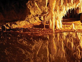 Rosewick Cottage - Accommodation Ballina 0