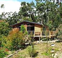 Southern Forest Accommodation - Accommodation Ballina