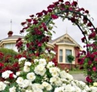 Golden Embers Apartments and B and B - Accommodation Ballina