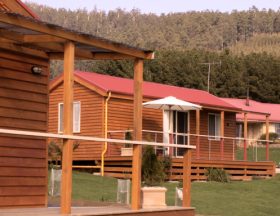 Maydena Country Cabins Accommodation & Alpaca Stud - Accommodation Ballina 0