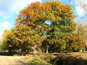 Golconda TAS Accommodation Ballina