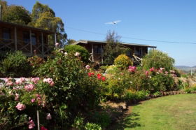 Mole Creek Holiday Village - Accommodation Ballina 0