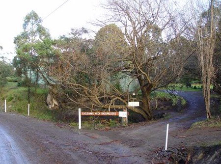 Eaglehawk Neck Backpackers - Accommodation Ballina 1