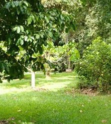 Julatten QLD Accommodation Ballina