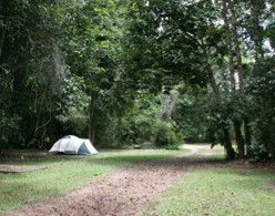 Kingfisher Park Birdwatchers Lodge - Accommodation Ballina 5