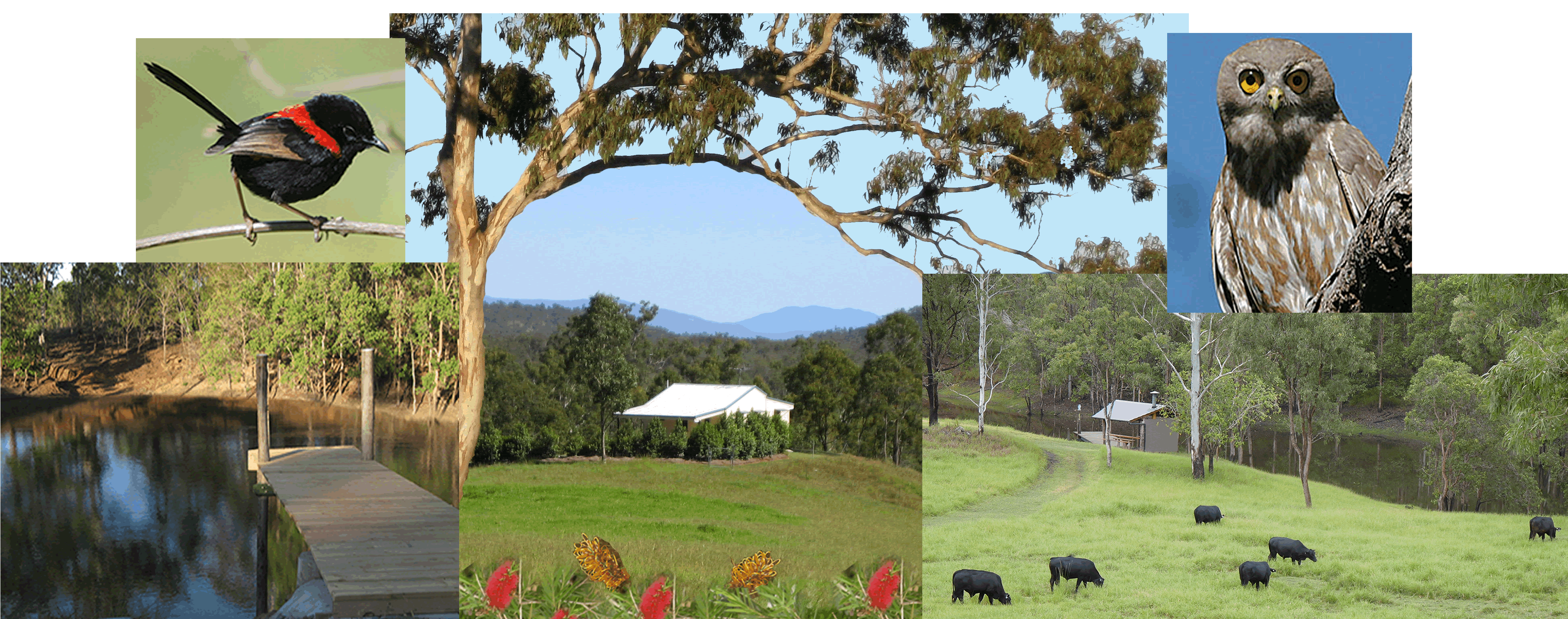 Barking Owl Retreat - Accommodation Ballina