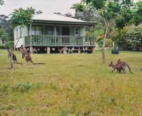 Berringer Lake NSW Accommodation Ballina