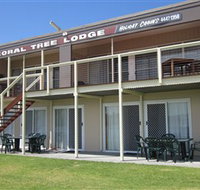 Coral Tree Lodge Tourist Park - Accommodation Ballina