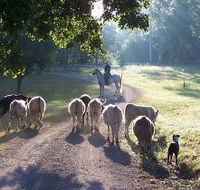 Brooloo Park - Accommodation Ballina