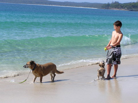 A Paradise Bungalow Waterfront - Accommodation Ballina 1