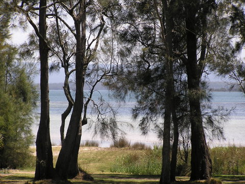 A Paradise Bungalow Waterfront - Accommodation Ballina 5