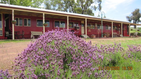 Last Stop Ambledown Brook - Accommodation Ballina 3