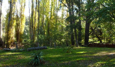 Old England Accommodation - Accommodation Ballina 2