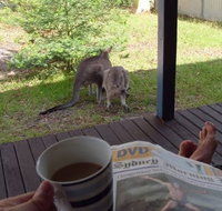 Bush and Bay Cottage - Accommodation Ballina