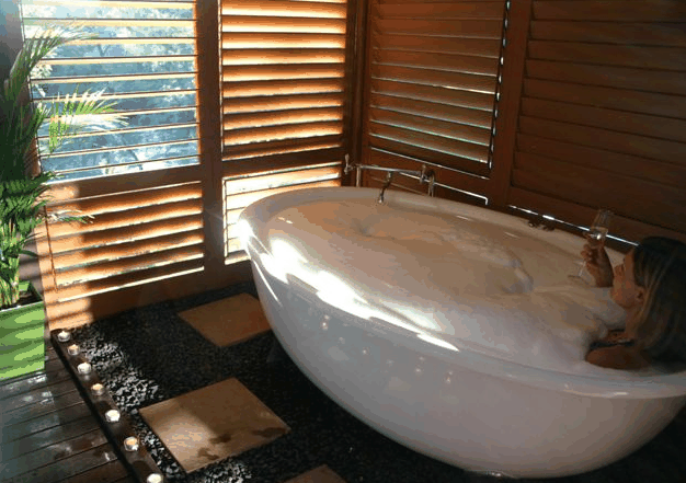 Green Pigeon NSW Accommodation Ballina