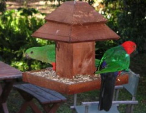 Chauvel Park B And B - Accommodation Ballina 2