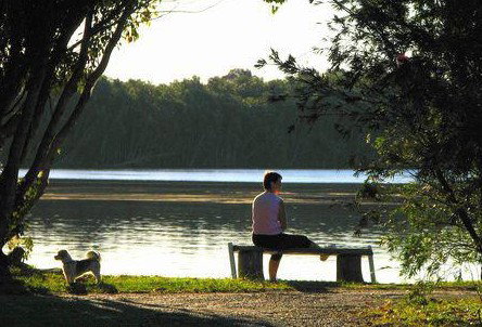 Fishing Haven Caravan Park - Accommodation Ballina 2
